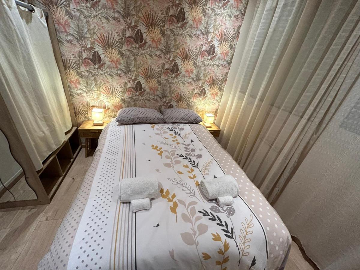 Appartement De Luxe En R/C Idealment Place En Hyper Centre Lourdes Dış mekan fotoğraf