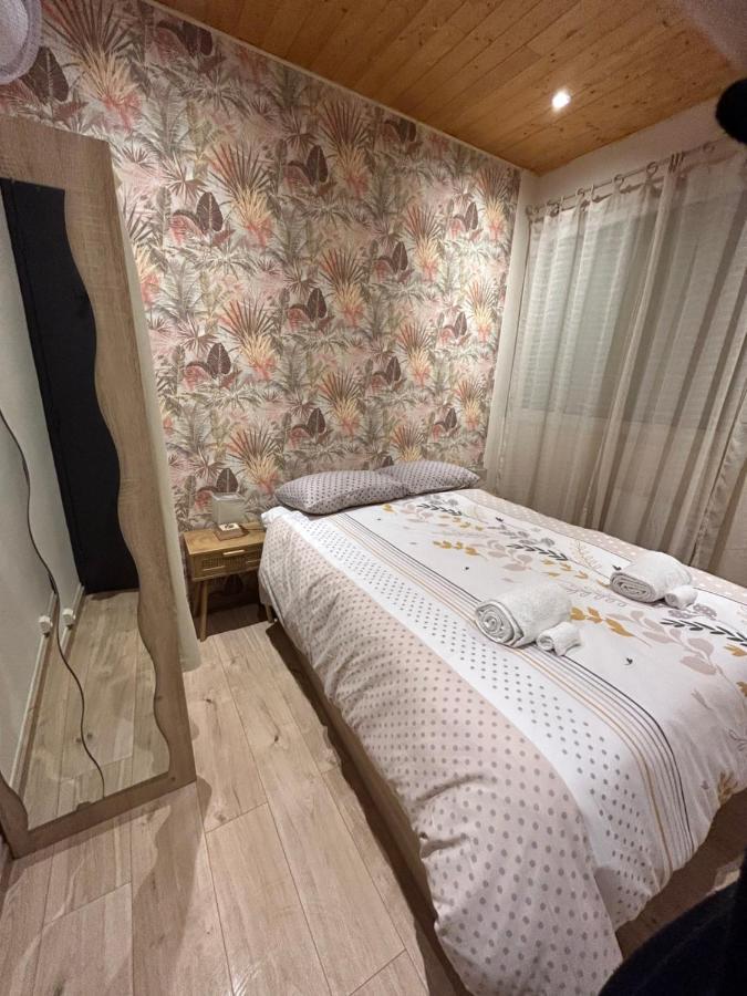 Appartement De Luxe En R/C Idealment Place En Hyper Centre Lourdes Dış mekan fotoğraf